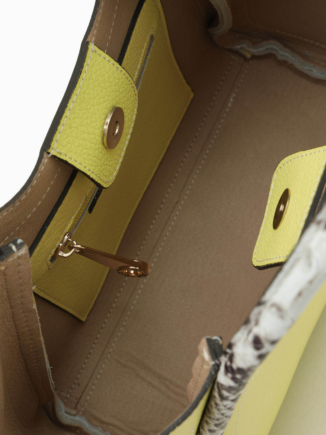 ��������� ���� ������� ����� � ������� �� ���� ��� ������ �� Di Gregorio